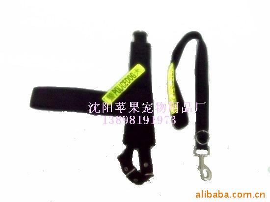 CIMG2317