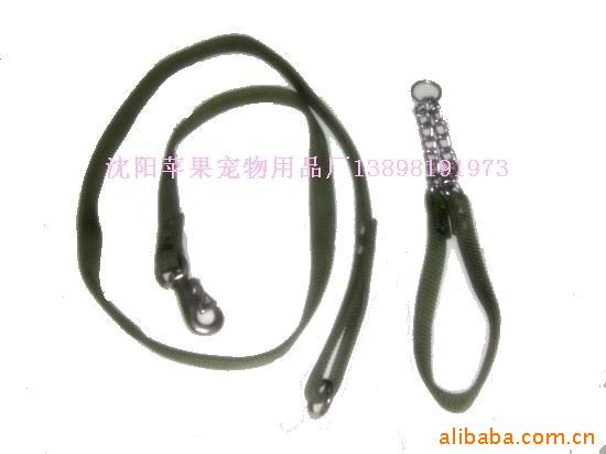 大型特型圈專用項圈