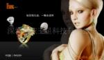 提供B2C展销商店系统、网页制作开发服务 百度网页