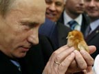 �վ��ι�ũҵչ����С������