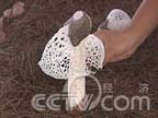 �������ζ����ݥ������30��