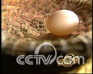 С�������¸� һö�뵰����Ԫ �� ũҵ�¸��� CCTV7�¸��� ũҵ 