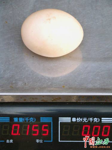 ĸ������155�˾��ްԼ��� ũҵ������ ��Ȥ���� �� 