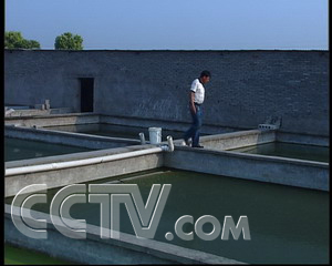 ����������ǧ��Ƹ� �� ũҵ�¸��� CCTV7�¸��� ũҵ 