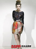 ����ӡ���� ������ķ(Erdem)2010��ȼ�ϵ�� 
