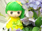 �����Ժ����� �ɰ�����װ