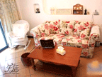 ��ƽС��ʽ�����ǳ� ��ܰ����ʱ��С��