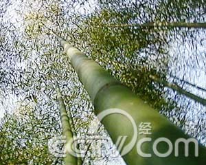 �ӹ����� ���ӱ�����׬Ǯ