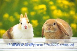 ��ֳ�¸����������Եĳ����� 