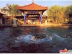 Shandong profile