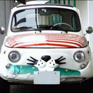 �Ƿ��켫�������ʻ�