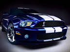 ʷ����ǿҰ����Shelby