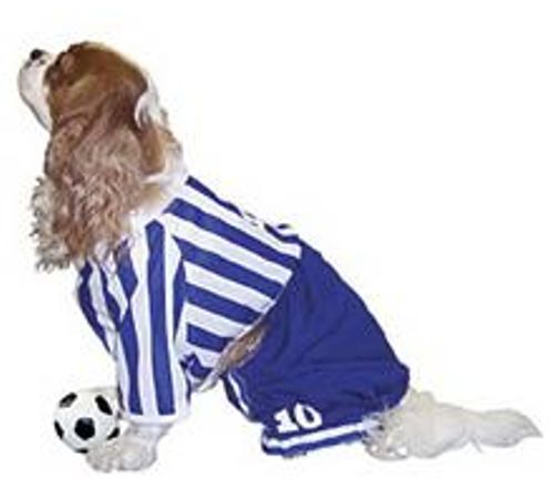 Halloween Costumes For Dogs halloween 