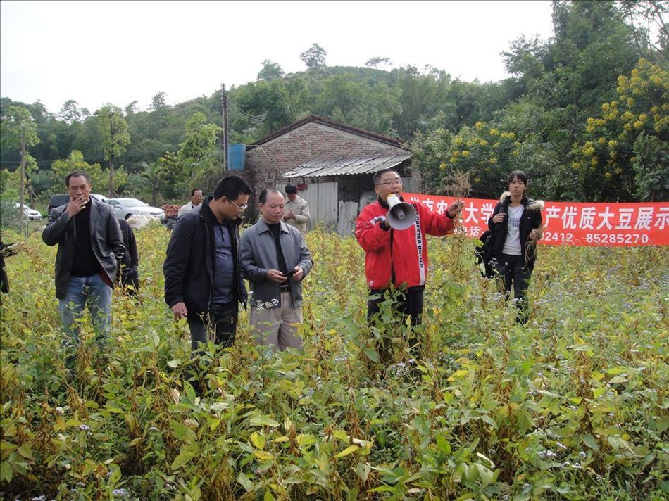 公司与华南农业大学成功举办南方高产优质大豆现场展示会