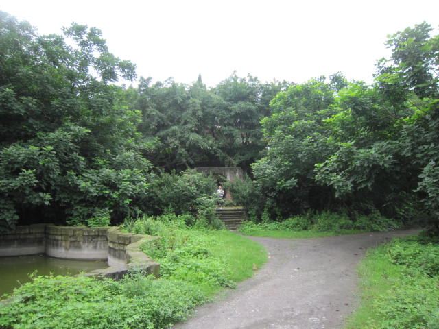 痛,我忍着,您(祖国啊母亲)知道么?