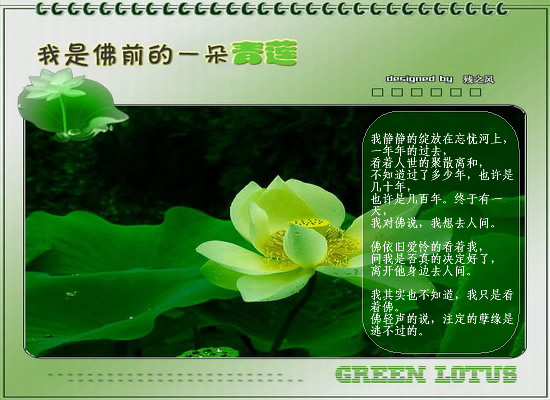 我是佛前的一朵青莲