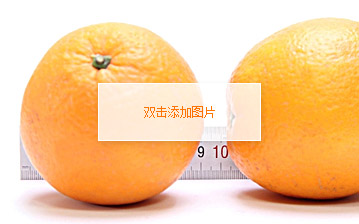 果径大小直尺 参照物对比照