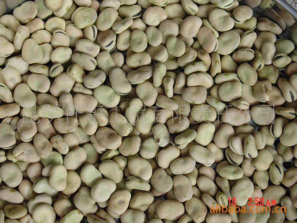 供应蚕豆蚕豆仁蚕豆瓣2013年新货2