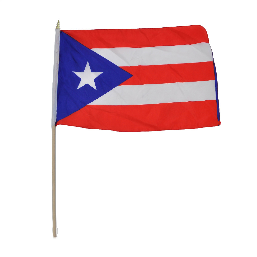 【30x45cm小型巴萨球迷手摇旗 小队旗 比赛用旗 推广活动手旗】浙江