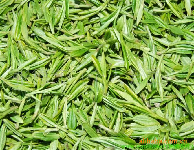 散装绿茶毛尖茶香茶花茶细茶