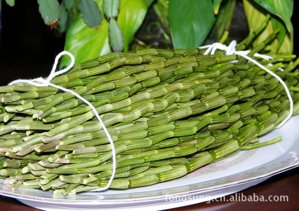 铁皮石斛鲜条a货