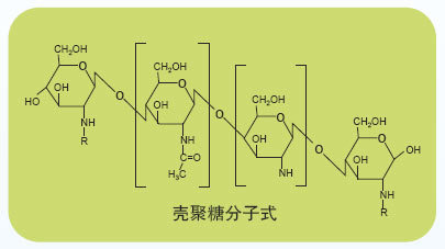 壳聚糖结构 结构式图片