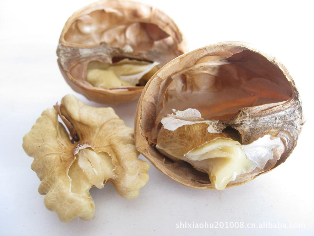 优质青皮核桃,核桃价格,核桃行情