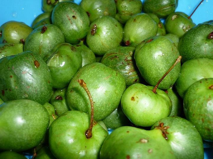 长白山野生鲜果冻果圆枣子猕猴桃