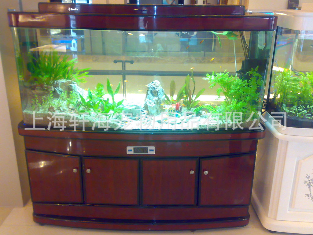 经典大气百搭--钢琴款式鱼缸(索浦鱼缸)3200/米 送货上门安装