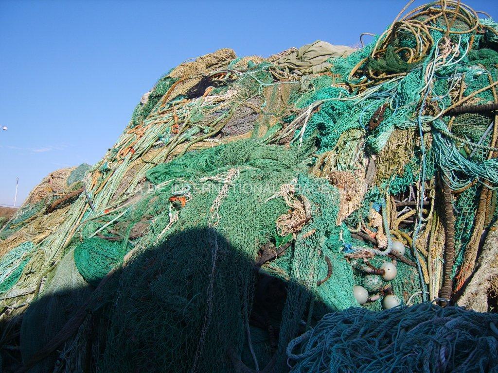 摩尔庄园渔网怎么获得|什么级别的摩尔庄园渔网可以使用摩尔庄园果浆丛林怎么掉落传说中的鱼？