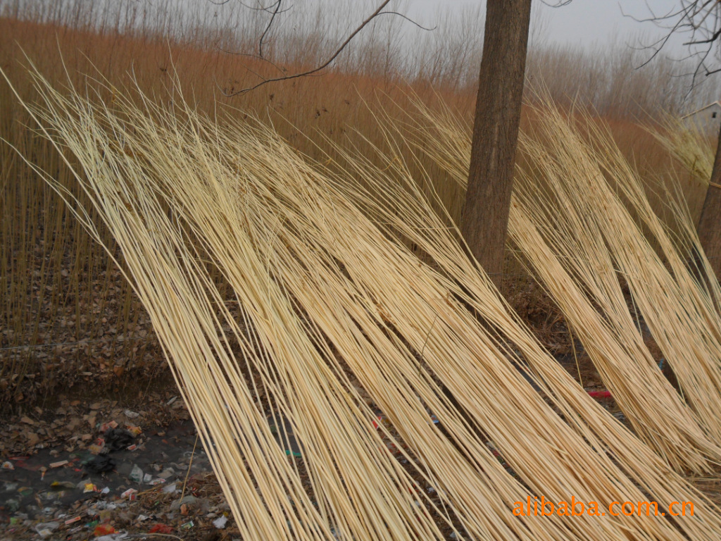 山东大量供应柳编篮材料-杞柳