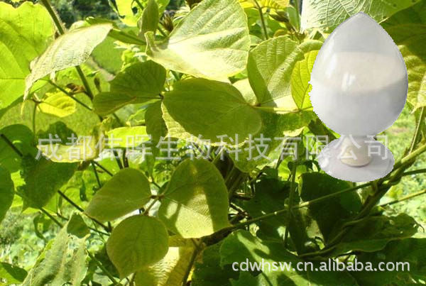 植物提取物-【品質保證】供應白藜蘆醇(圖)-植物提取物盡在阿里巴巴