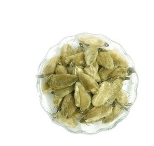 花草茶 纯天然 辛夷花 排毒养颜 消暑止渴 鼻炎的克星