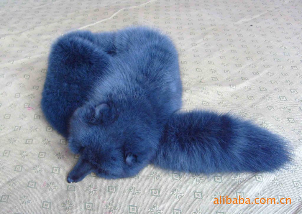 各种动物毛领子 毛领,帽条通常是作为其他服装配饰或辅料的皮毛制品