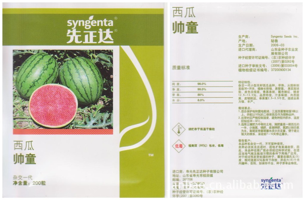供应帅童种子超甜皮薄耐运先正达小型无籽西瓜