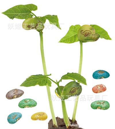 供应七彩许愿豆 爱情魔豆 促销礼品出 logo定制 厂家批发