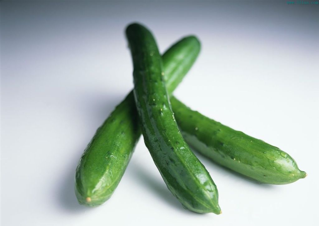 供应黄瓜南方蔬菜基地直销热销各大超市诚信