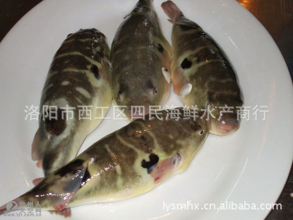 南非龙虾 活海鲜及各种贝类 欢迎选购 四民海鲜商行