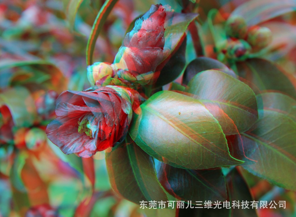 纸材红蓝颜色互补立体3d眼镜