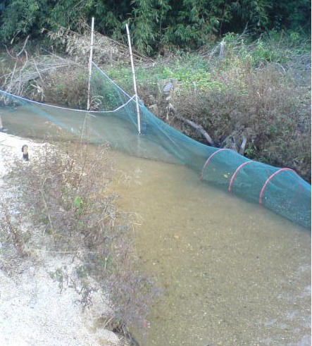 手工搬针子搬网提网抬网网兜,堵网