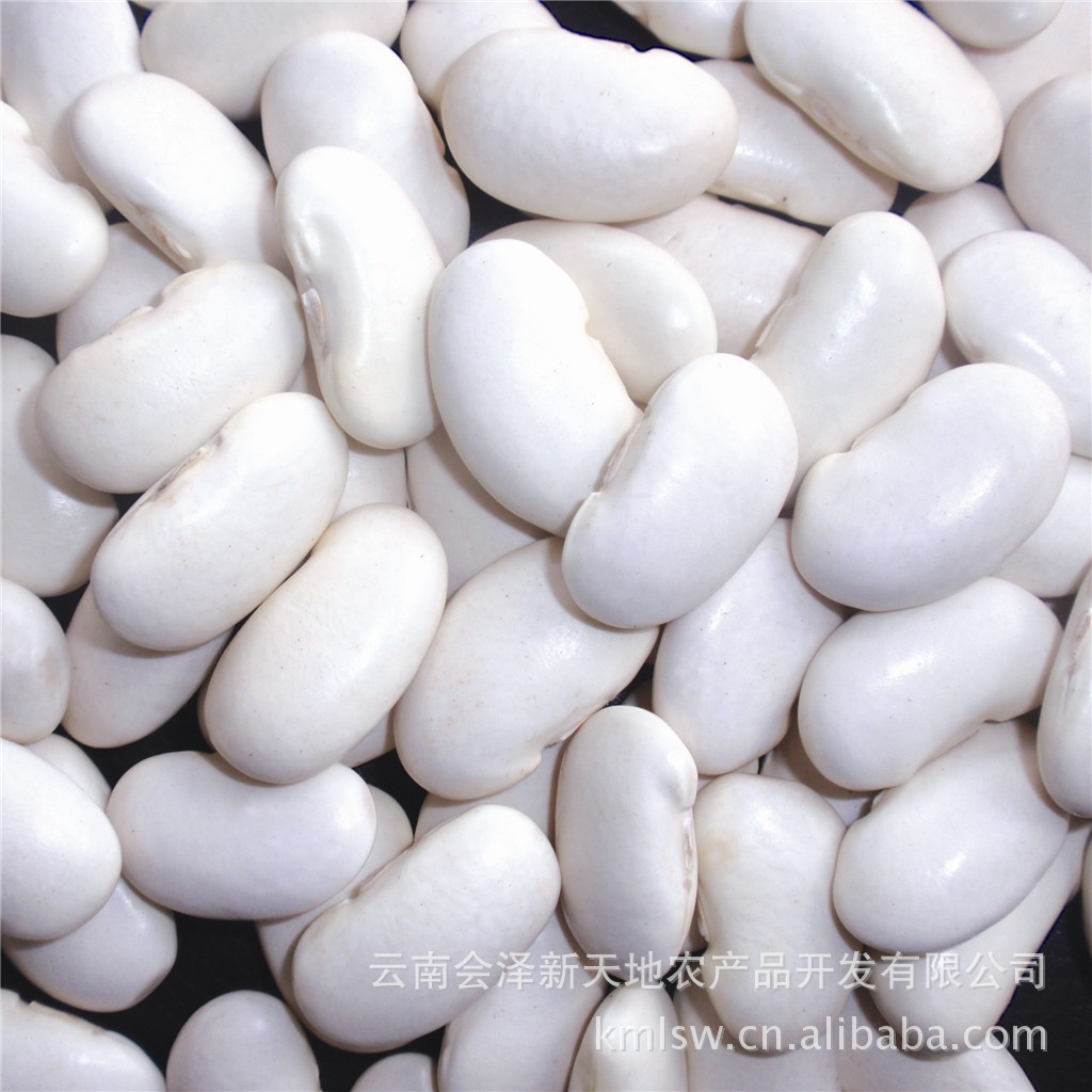 厂家供应云南产大白芸豆 45粒每100克 2012年 出口 内销品质