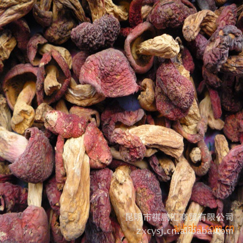 批发云南野生菌/牛肝菌/红菌/小红菇/二红菌/大红菌