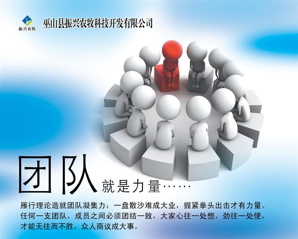 361装饰画海报展板素材26公司团队精神力量标语psd