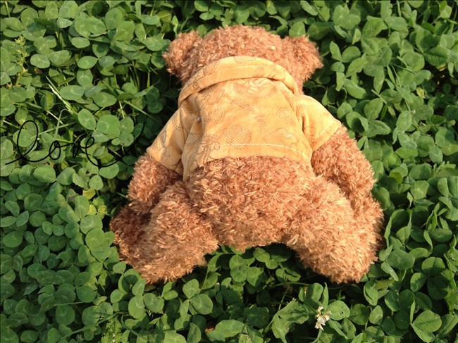 小额批发 艺佳 穿衣补丁熊 .