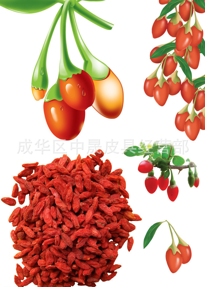 大量 批发供应各种 中药材 中药饮片 枸杞子