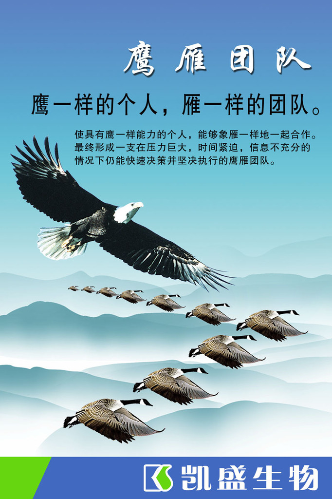 【361装饰画海报展板素材253鹰雁团队标语 企