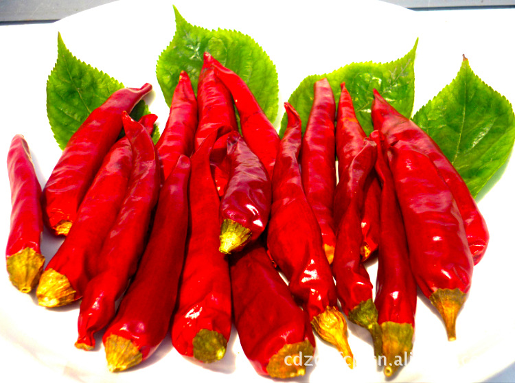 四川特产 干煸海椒 干辣椒 干辣子 优质辣椒 纯手工制品批发零售