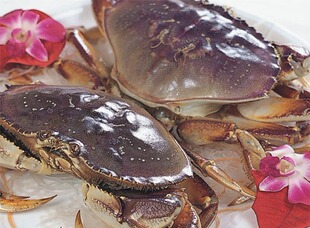 太子蟹/珍宝蟹(dungeness crab)
