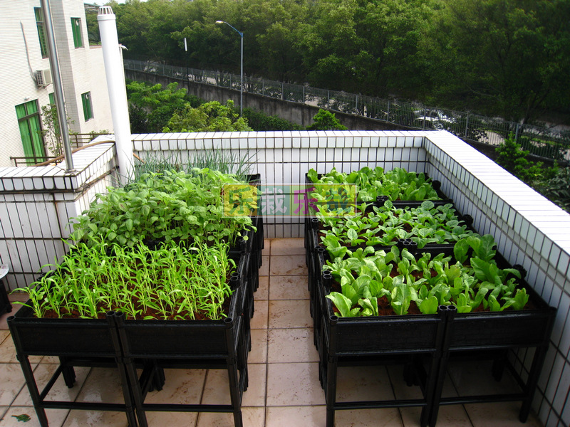 樂栽樂哉空中花園空中菜園/商住合一屋頂花園屋頂菜園/企業菜園