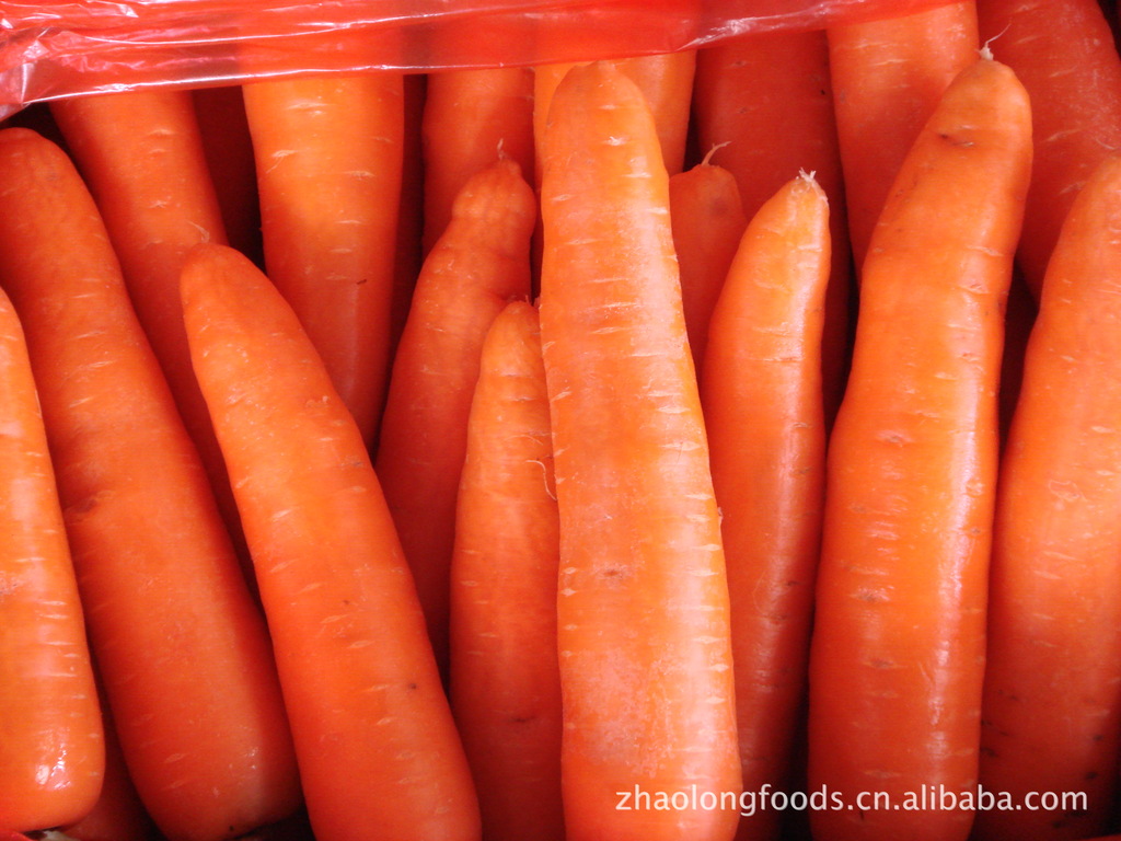 新鲜营养蔬菜胡萝卜,敬请订购  &nbsp; 营养含量  每100克胡萝卜中